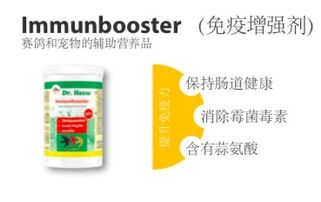 用产品说话 合理用药提升赛鸽免疫力的组合方案